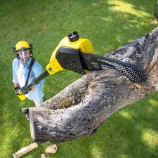 Tree Removal and Landscaping Services